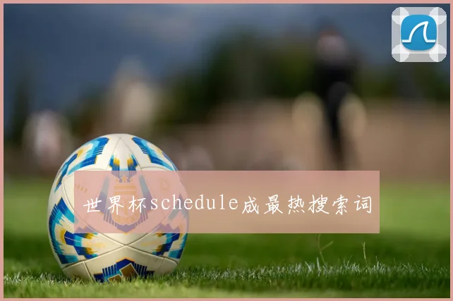 世界杯schedule成最热搜索词