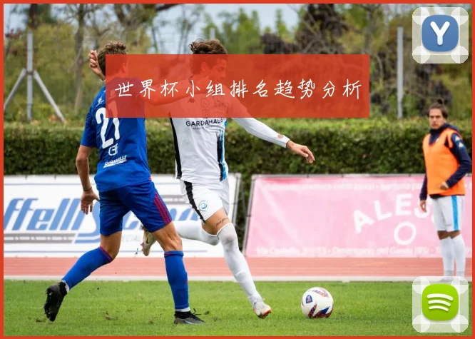 世界杯小组排名趋势分析